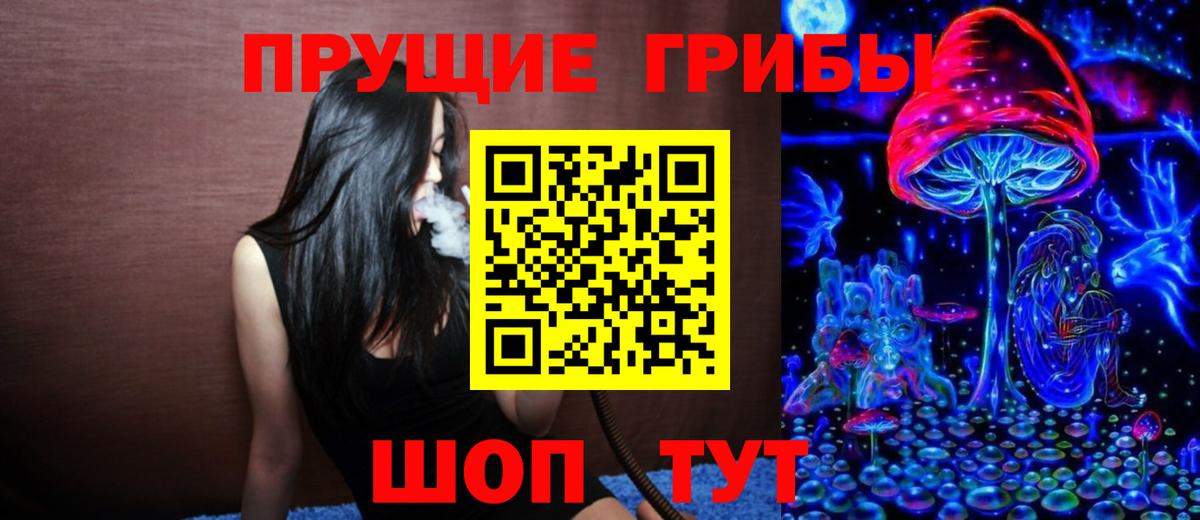 Псилоцибиновые грибы GOLDEN TEACHER Холмск