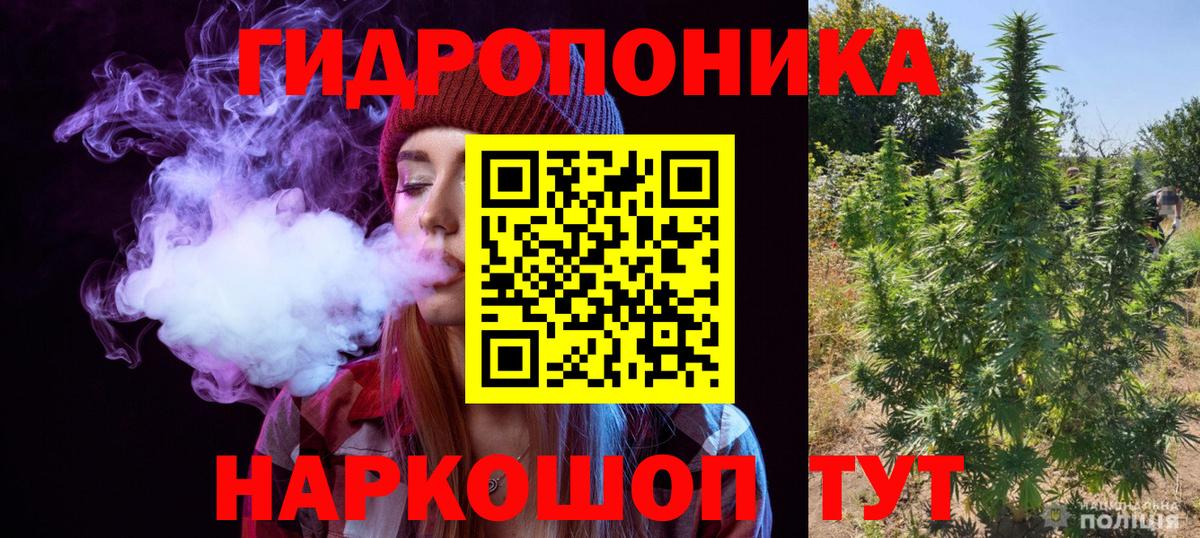 МАРИХУАНА White Widow  Вход с VPN  Бошки марихуана марихуана  Холмск 